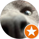 Lam Am profile picture
