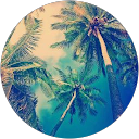 Ilan EE profile picture
